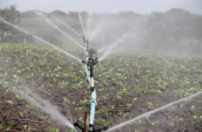 Water boreholes for irrigation systems