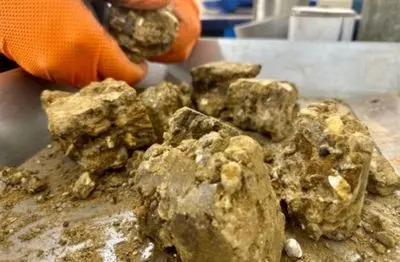 Particle Size Distribution Testing